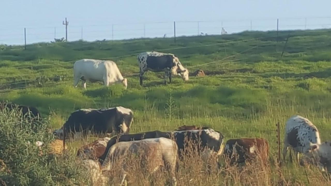Little Fields Country House And Cottages 霍维克 外观 照片