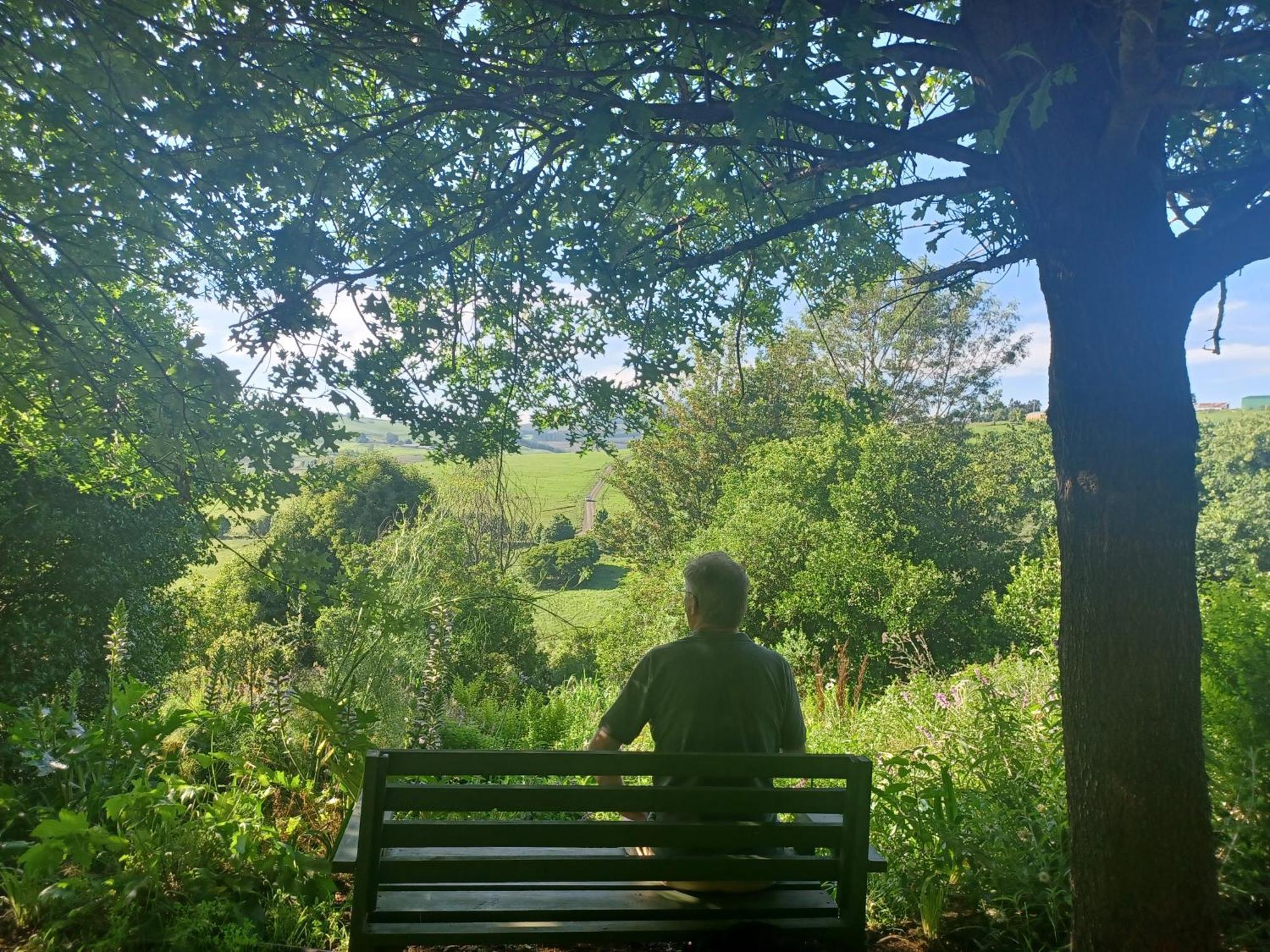 Little Fields Country House And Cottages 霍维克 外观 照片