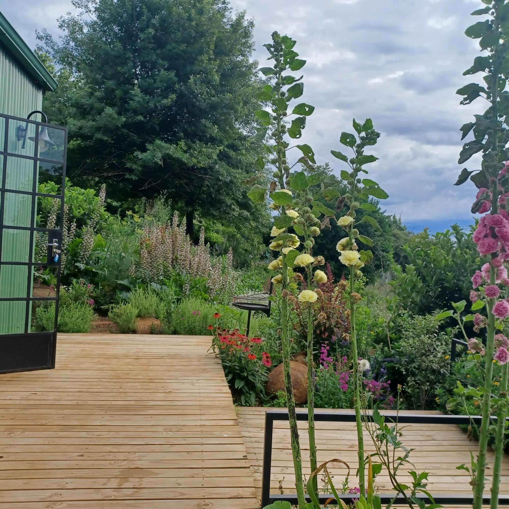 Little Fields Country House And Cottages 霍维克 外观 照片