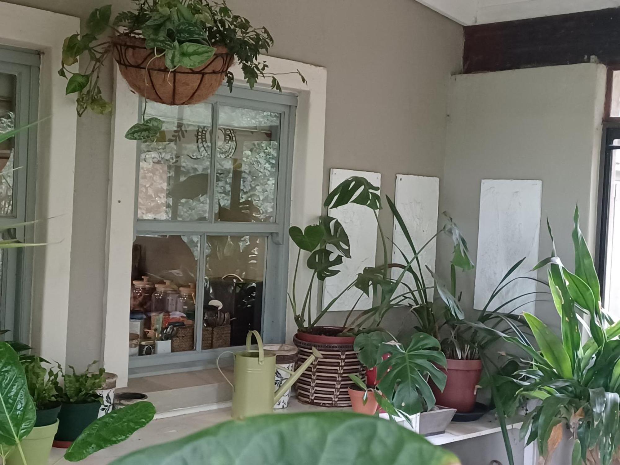 Little Fields Country House And Cottages 霍维克 外观 照片