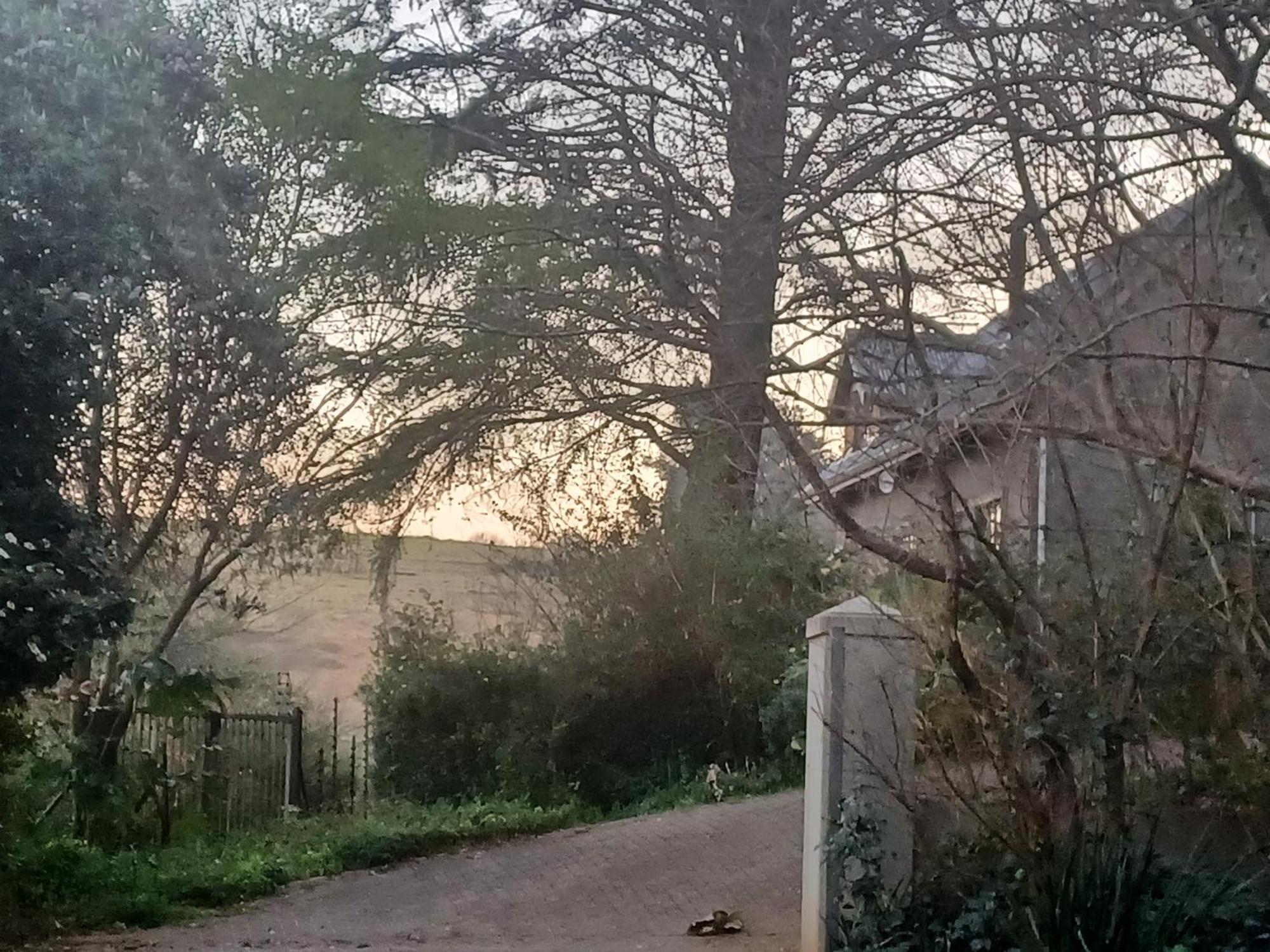 Little Fields Country House And Cottages 霍维克 外观 照片