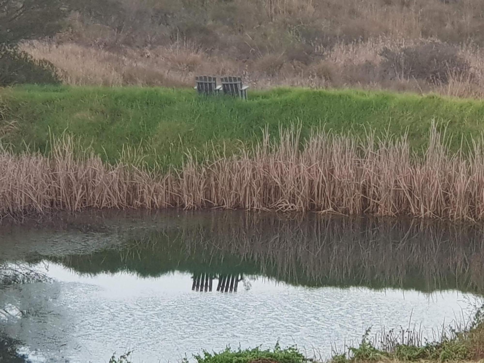 Little Fields Country House And Cottages 霍维克 外观 照片