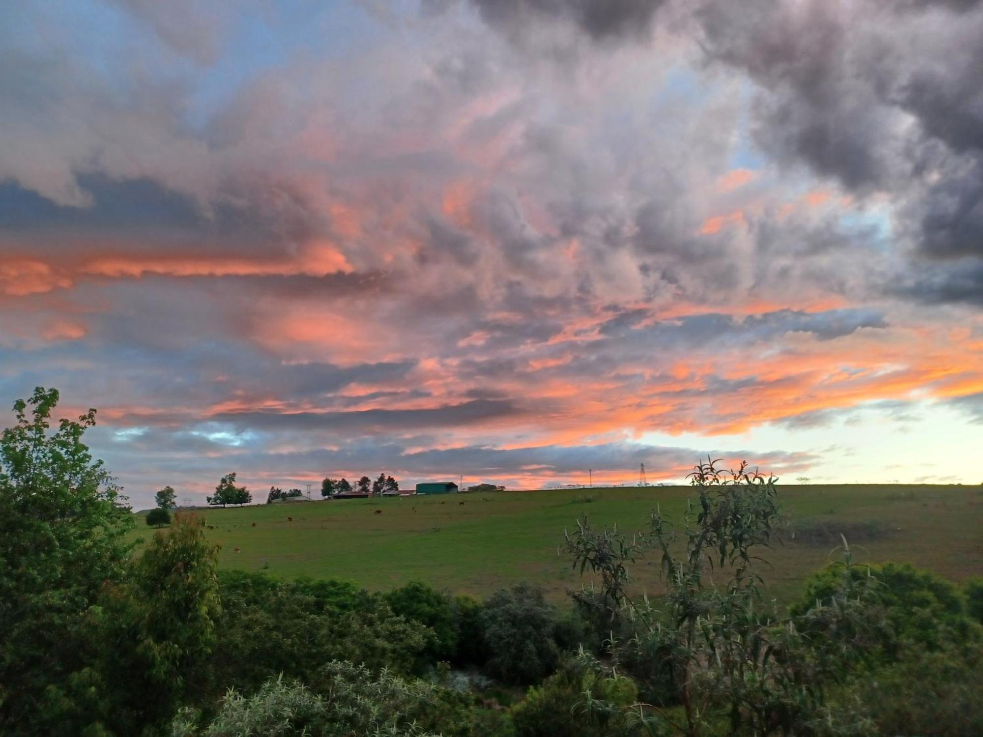 Little Fields Country House And Cottages 霍维克 外观 照片