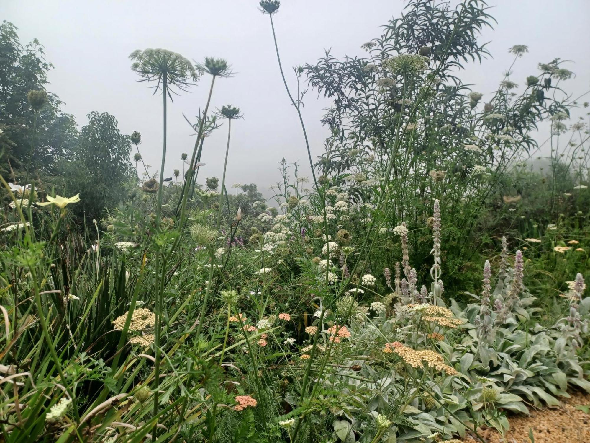 Little Fields Country House And Cottages 霍维克 外观 照片