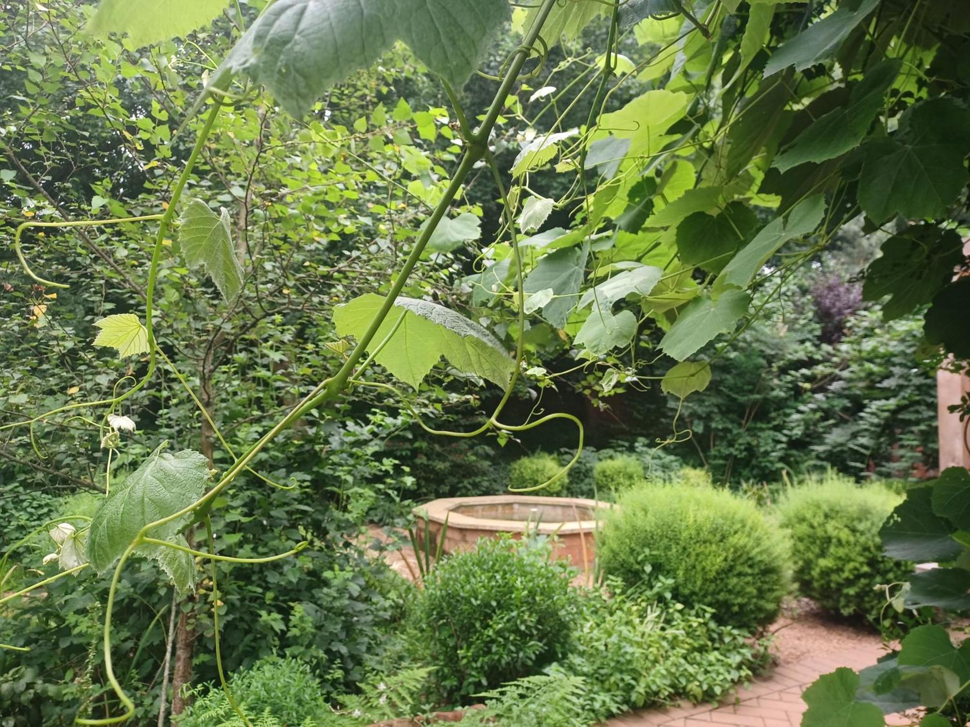 Little Fields Country House And Cottages 霍维克 外观 照片